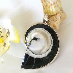 NEW Sterling Silver Nautilus Shell pendant in black